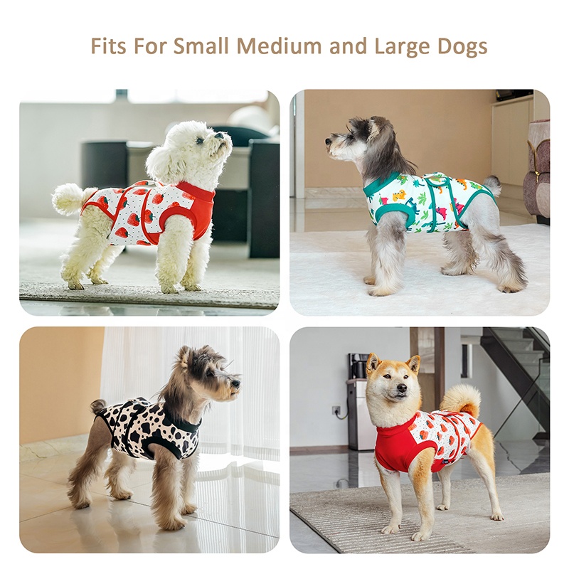 Dog Surgery Suit Female Spay P - Leather Work Factory ulasan dan harga